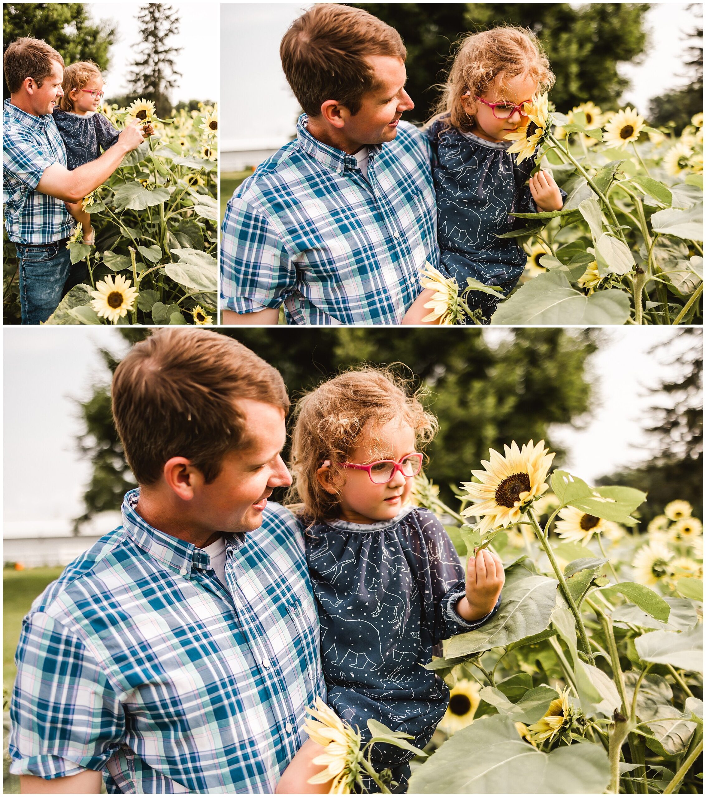 Westfield Indiana Family Pictures | Sunflower Field + Farm